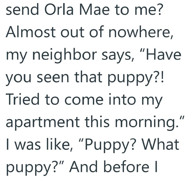 send Orla Mae to me? Almost out of nowhere, my neighbor says, "Have you seen that puppy?! Tried to come into my apartment this morning." I was like, "Puppy? What puppy?" And before I