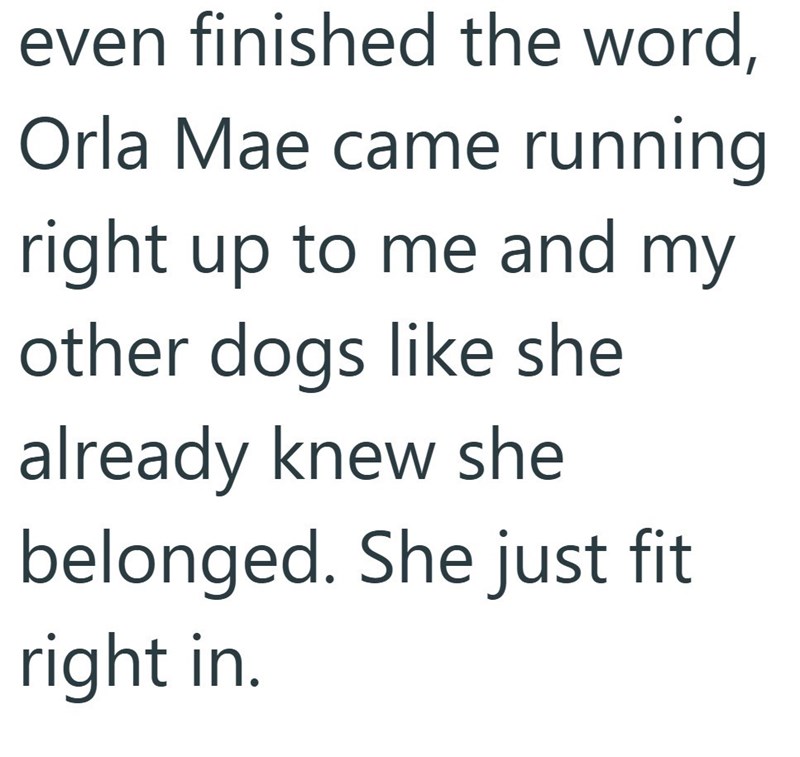 even finished the word, Orla Mae came running right up to me and my other dogs like she already knew she belonged. She just fit right in.