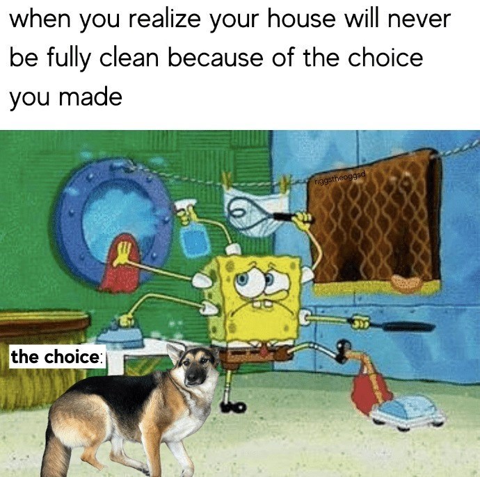 when you realize your house will never be fully clean because of the choice you made the choice: riggstheoggsd