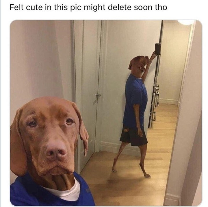 Felt cute in this pic might delete soon tho