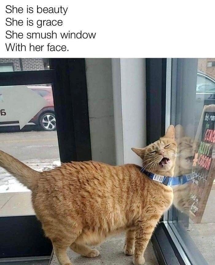 She is beauty She is grace She smush window With her face. LO 6 this ro CINE COCON