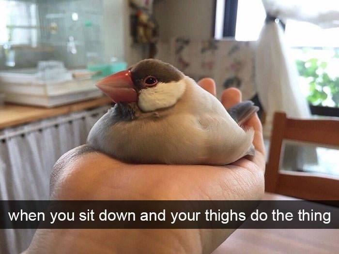 when you sit down and your thighs do the thing
