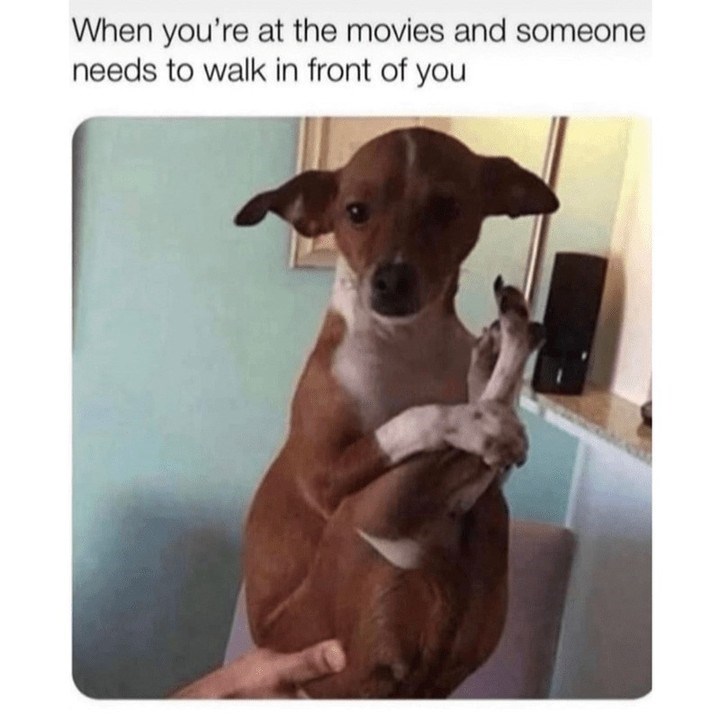 When you're at the movies and someone needs to walk in front of you