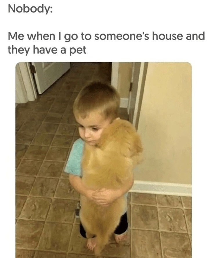Nobody: Me when I go to someone's house and they have a pet