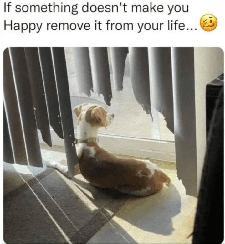 If something doesn't make you Happy remove it from your life...