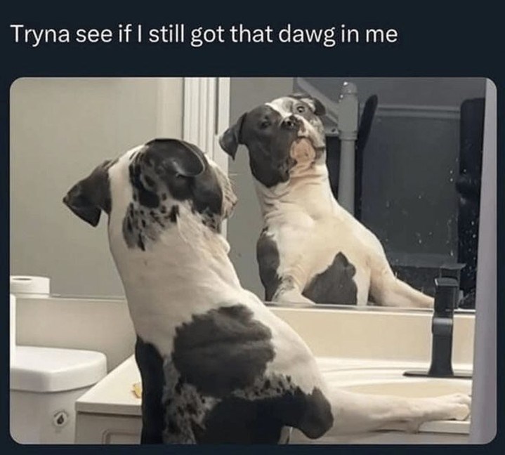 Tryna see if I still got that dawg in me