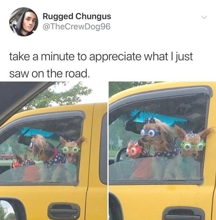 Rugged Chungus @TheCrewDog96 take a minute to appreciate what I just saw on the road. 0 D
