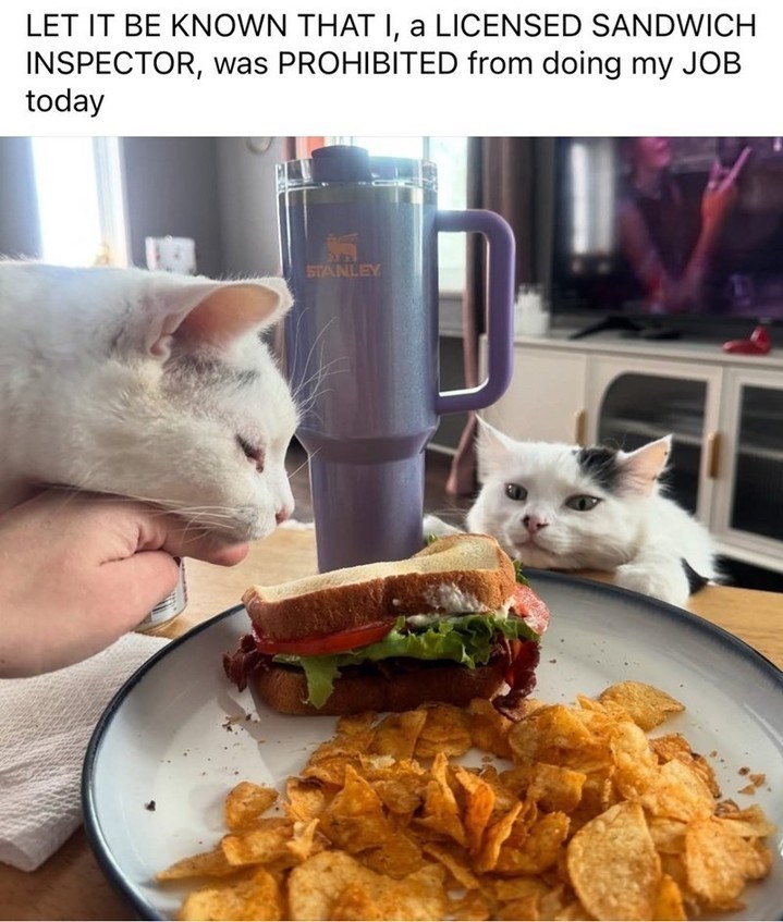 LET IT BE KNOWN THAT I, a LICENSED SANDWICH INSPECTOR, was PROHIBITED from doing my JOB today STANLEY