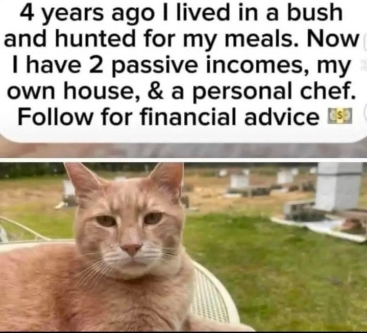4 years ago I lived in a bush and hunted for my meals. Now I have 2 passive incomes, my own house, & a personal chef. Follow for financial advice s