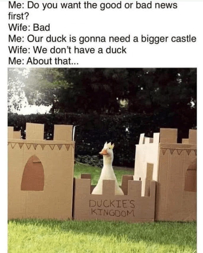 Me: Do you want the good or bad news first? Wife: Bad Me: Our duck is gonna need a bigger castle Wife: We don't have a duck Me: About that... DUCKIE'S KINGDOM