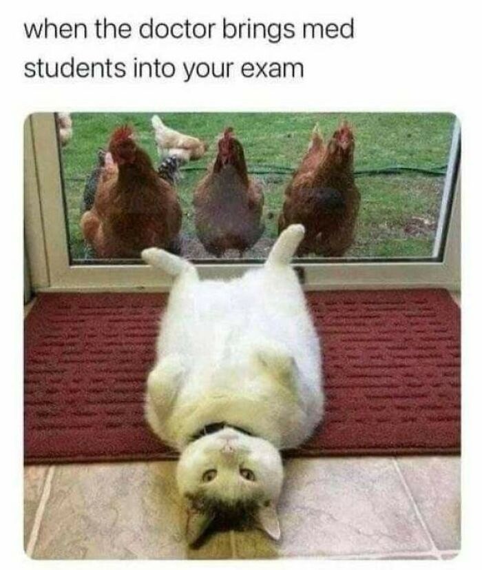 when the doctor brings med students into your exam