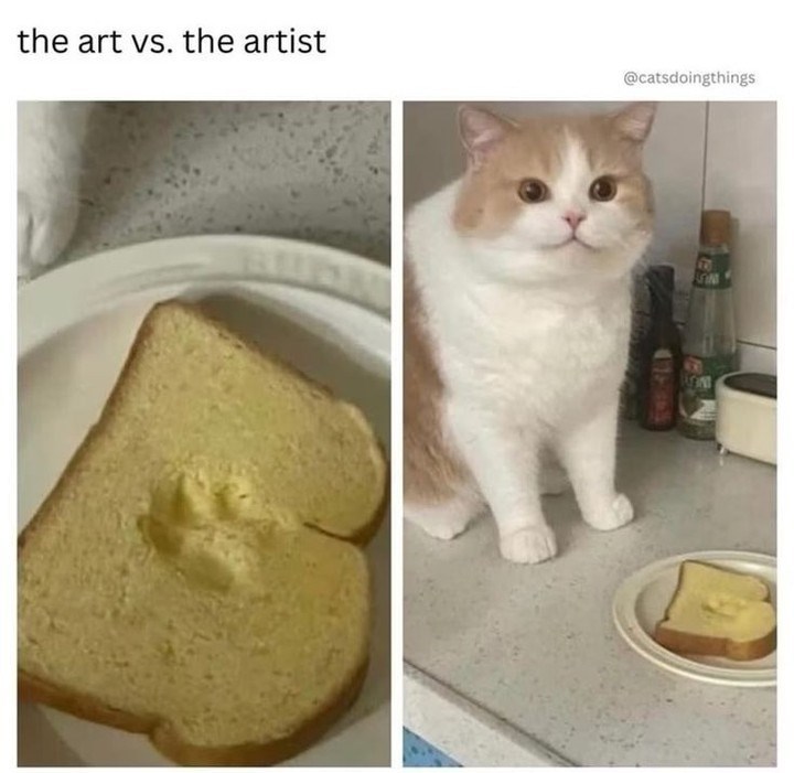 the art vs. the artist @catsdoingthings