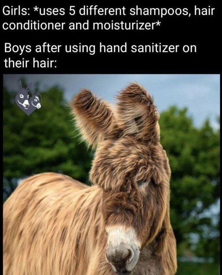 Girls: *uses 5 different shampoos, hair conditioner and moisturizer* Boys after using hand sanitizer on their hair: