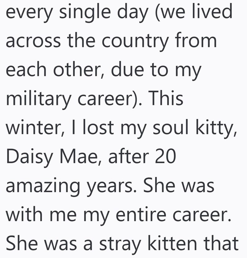 every single day (we lived across the country from each other, due to my military career). This winter, I lost my soul kitty, Daisy Mae, after 20 amazing years. She was with me my entire career. She was a stray kitten that
