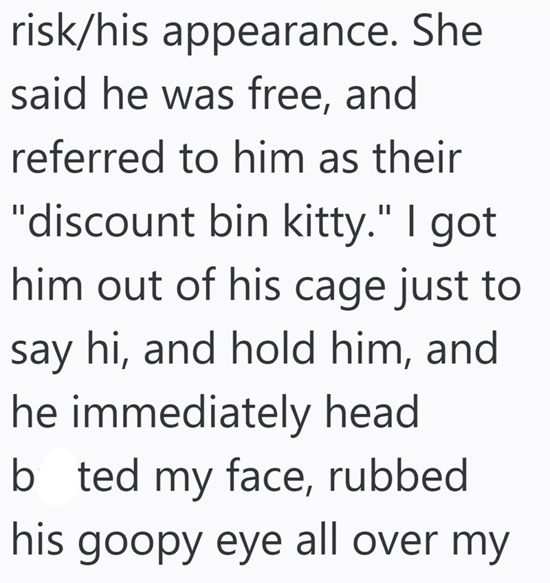 risk/his appearance. She said he was free, and referred to him as their "discount bin kitty." I got him out of his cage just to say hi, and hold him, and he immediately head b ted my face, rubbed his goopy eye all over my