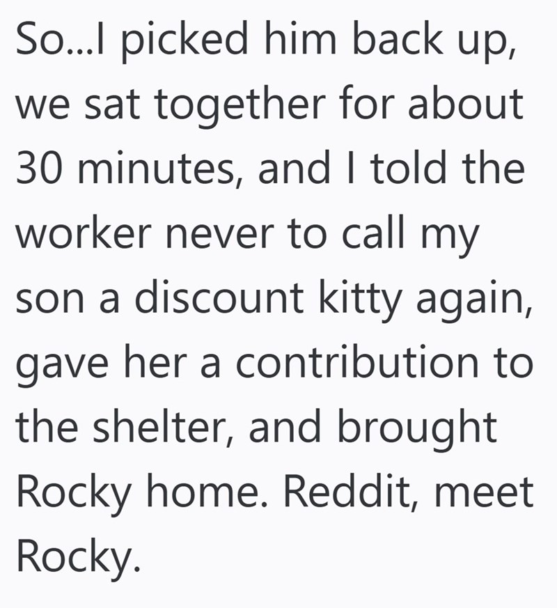 So...I picked him back up, we sat together for about 30 minutes, and I told the worker never to call my son a discount kitty again, gave her a contribution to the shelter, and brought Rocky home. Reddit, meet Rocky.