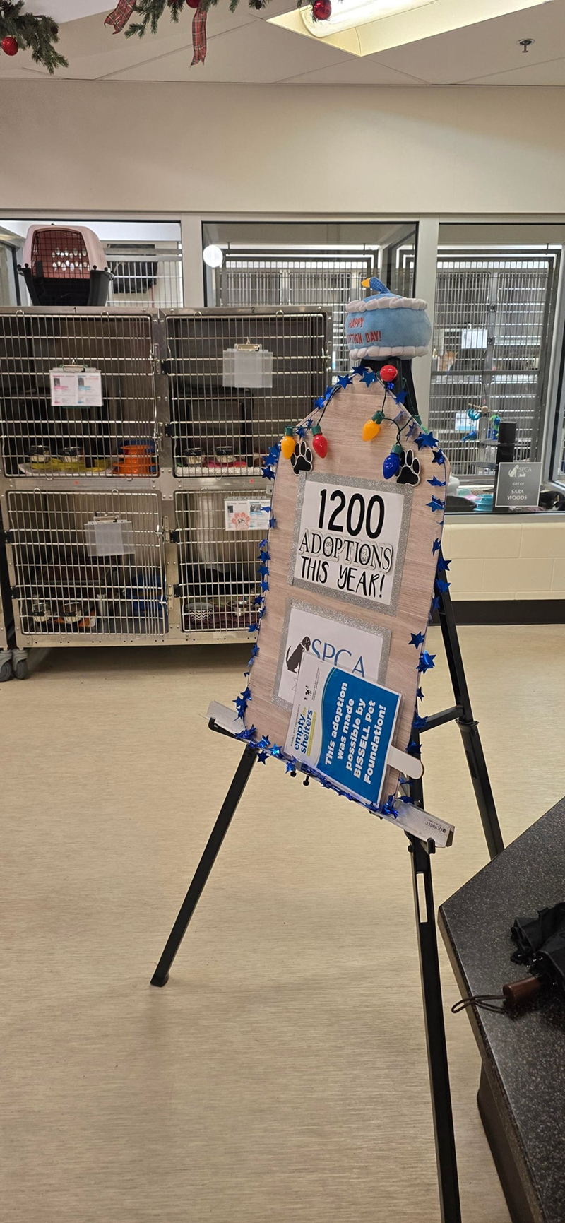 THIS YEAR! ADOPTIONS 1200 SPCA empty shelters This adoption was made possible by BISSELL Pet Foundation!