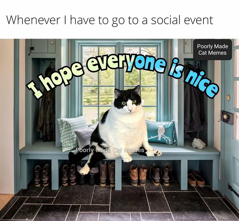 Whenever I have to go to a social event Poorly Made Cat Memes I hope everyone is nice Poorly Made Cat Memes