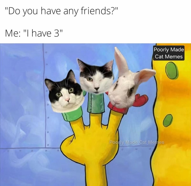 "Do you have any friends?" Me: "I have 3" Poorly Made Cat Memes Poorly Made Cat Memes