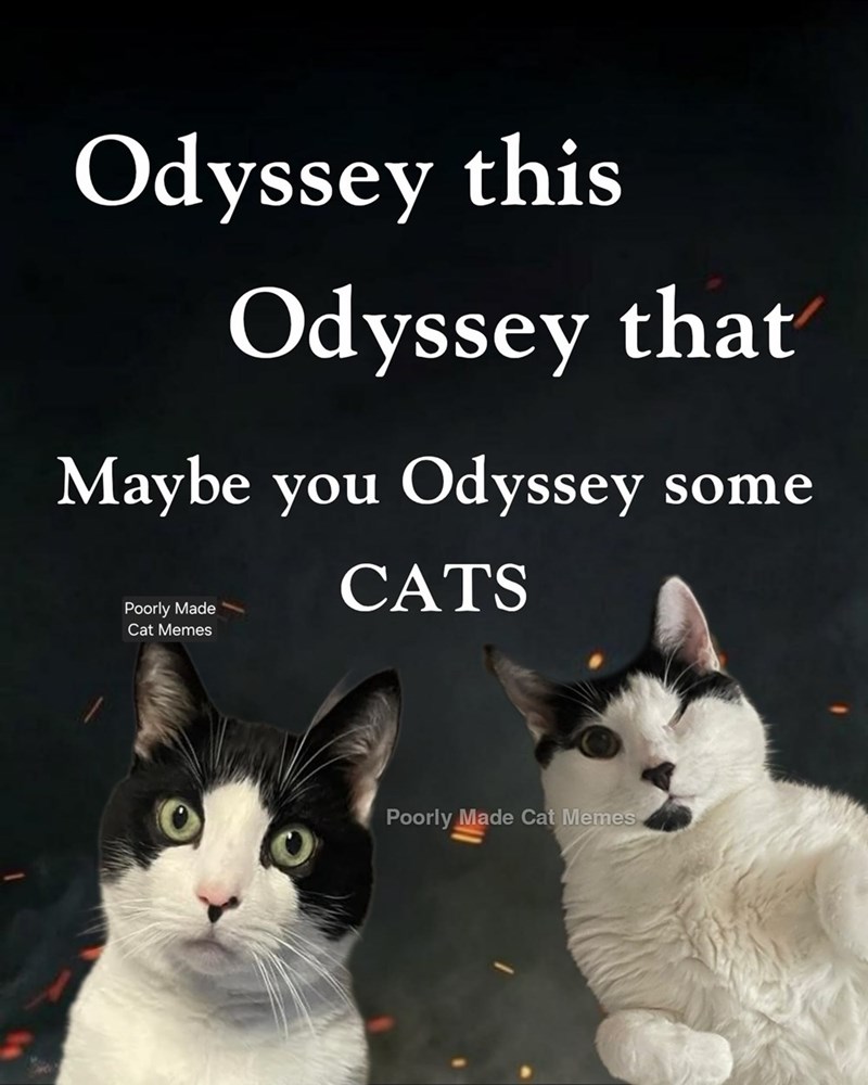Odyssey this Odyssey that Maybe you Odyssey some Poorly Made Cat Memes CATS Poorly Made Cat Memes