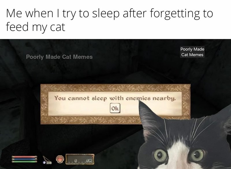 Me when I try to sleep after forgetting to feed my cat Poorly Made Cat Memes 108 You cannot sleep with enemies nearby. Ok SW Poorly Made Cat Memes