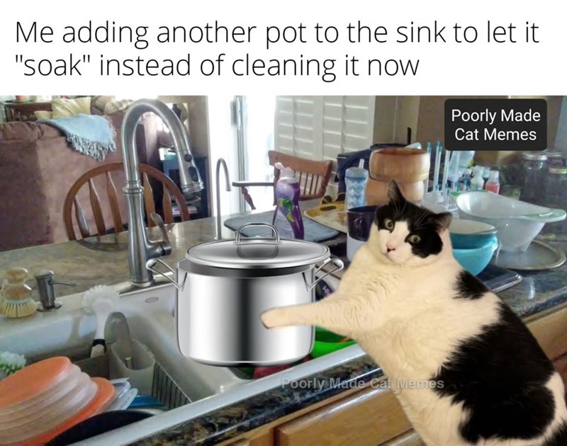 Me adding another pot to the sink to let it "soak" instead of cleaning it now Poorly Made Cat Memes Poorly Made Cat Memes