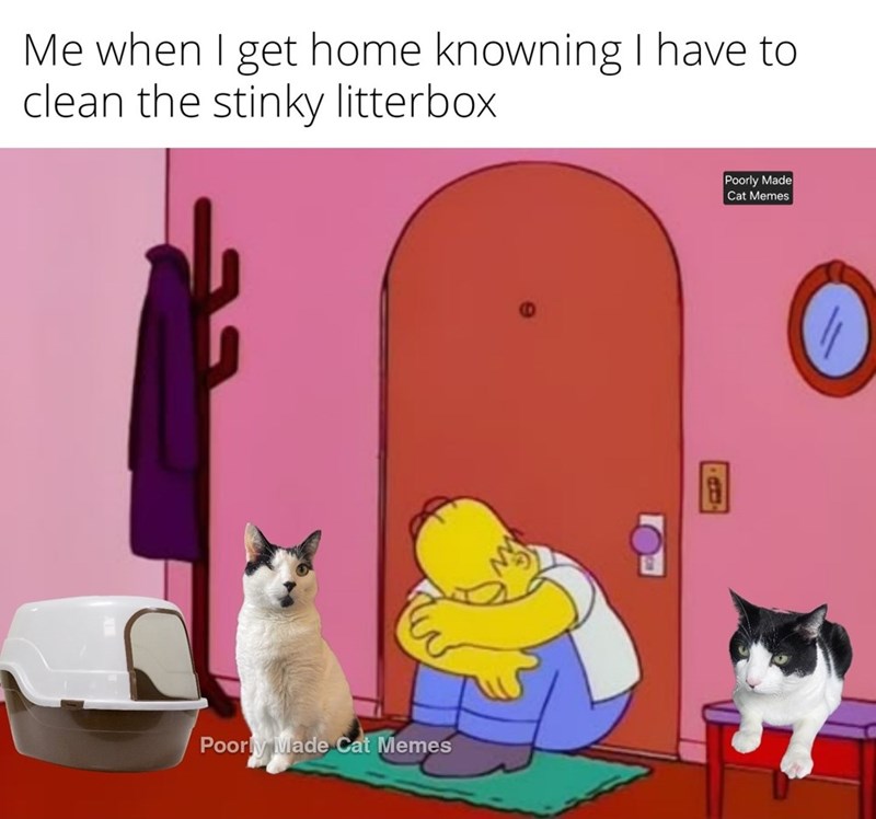 Me when I get home knowning I have to clean the stinky litterbox. Poorly Made Cat Memes Poorly Made Cat Memes O