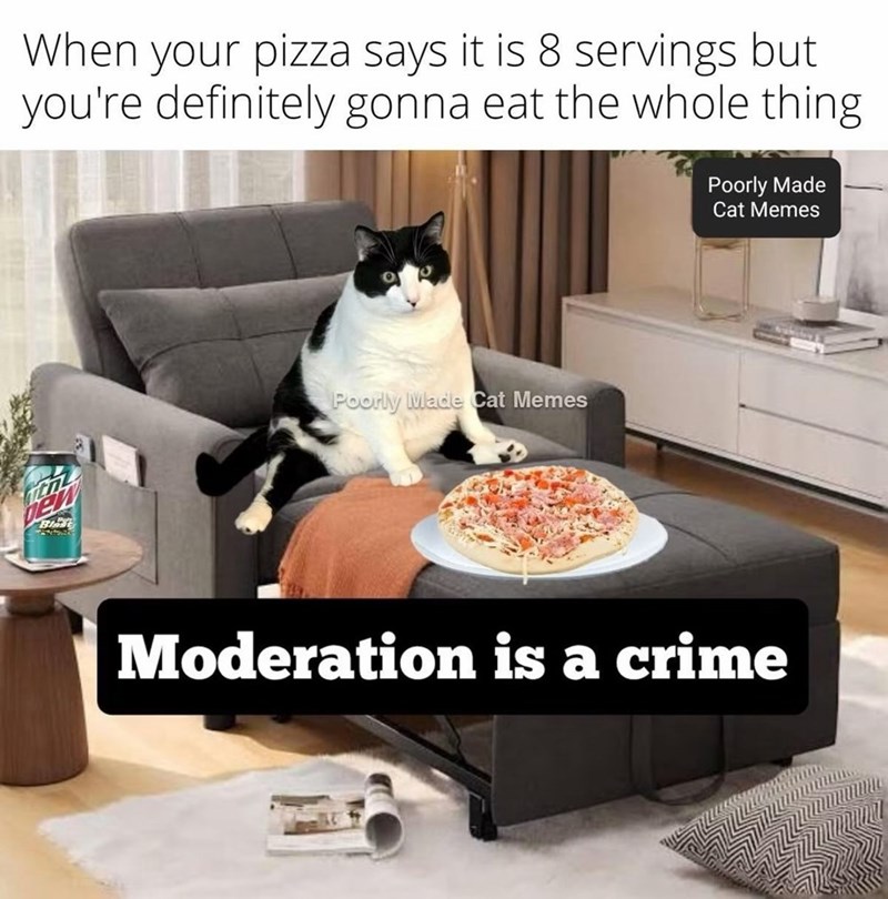 When your pizza says it is 8 servings but you're definitely gonna eat the whole thing. Poorly Made Cat Memes Bl Poorly Made Cat Memes Moderation is a crime