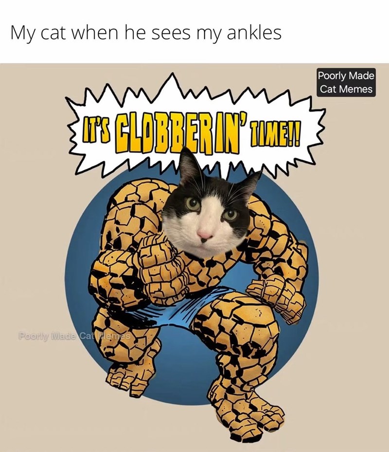 My cat when he sees my ankles IT'S GLOBBERIN' TIME!! MM Poorly Made Cat Memes Poorly Made Cat Memes