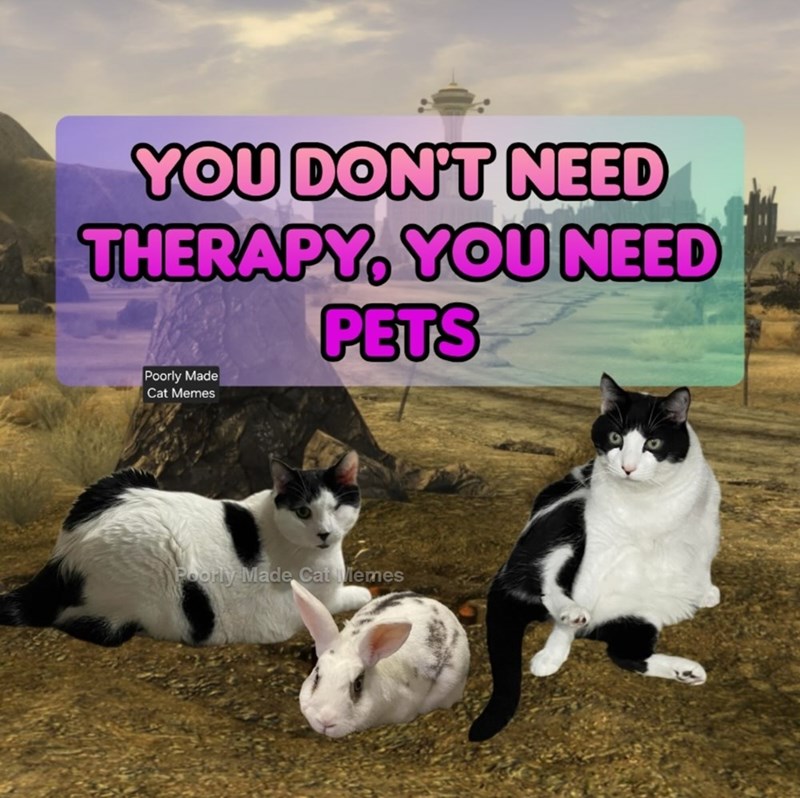 YOU DON'T NEED THERAPY, YOU NEED PETS Poorly Made Cat Memes Poorly Made Cat Memes