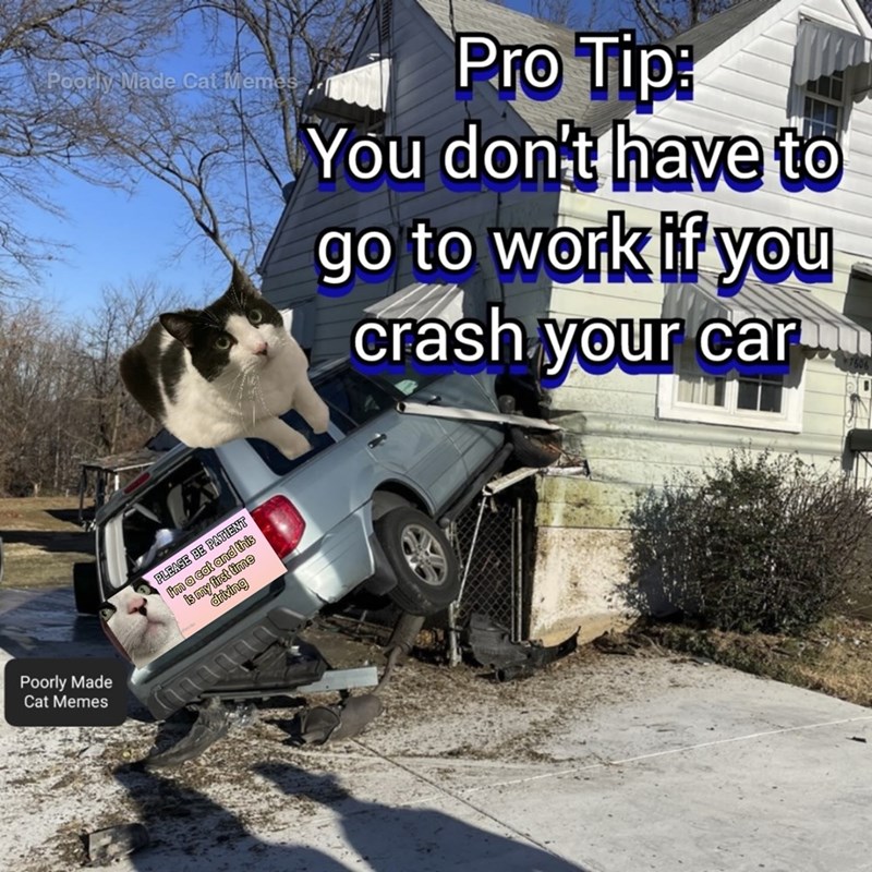 Poorly Made Cat Memes Poorly Made Cat Memes Pro Tip: You don't have to go to work if you crash your car PLEASE BE PATIENT I'm a cat and this is my first time driving