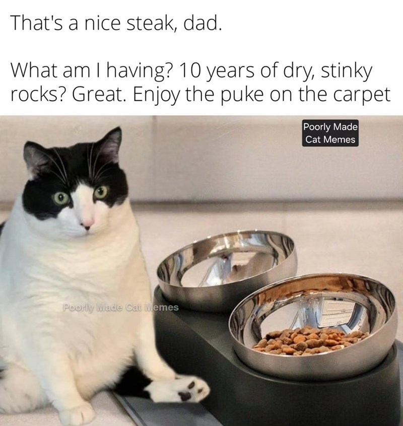 That's a nice steak, dad. What am I having? 10 years of dry, stinky rocks? Great. Enjoy the puke on the carpet Poorly Made Cat Memes Poorly Made Cat Memes