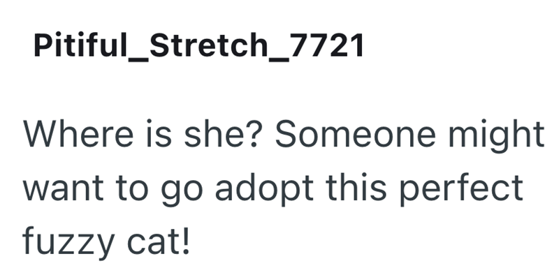 Pitiful_Stretch_7721 Where is she? Someone might want to go adopt this perfect fuzzy cat!