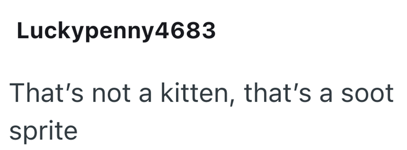 Luckypenny4683 That's not a kitten, that's a soot sprite