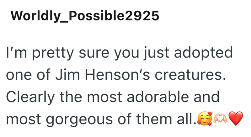 Worldly_Possible2925 I'm pretty sure you just adopted one of Jim Henson's creatures. Clearly the most adorable and most gorgeous of them all.Ga