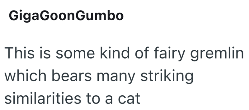 GigaGoonGumbo This is some kind of fairy gremlin which bears many striking similarities to a cat