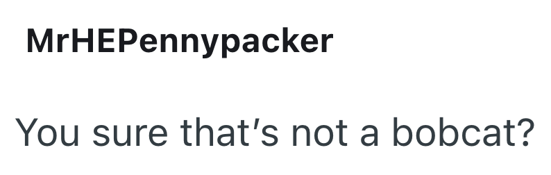 MrHEPennypacker You sure that's not a bobcat?