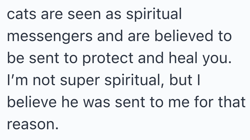 cats are seen as spiritual messengers and are believed to be sent to protect and heal you. I'm not super spiritual, but I believe he was sent to me for that reason.