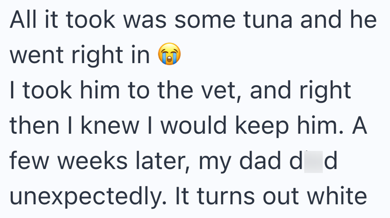 All it took was some tuna and he went right in I took him to the vet, and right then I knew I would keep him. A few weeks later, my dad dd unexpectedly. It turns out white