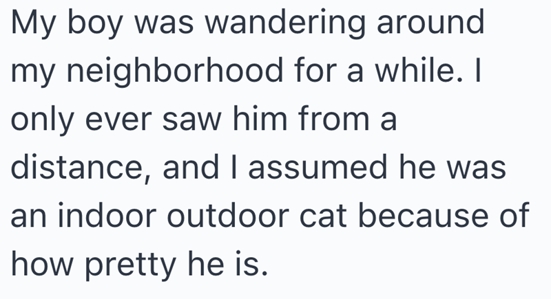 My boy was wandering around my neighborhood for a while. I only ever saw him from a distance, and I assumed he was an indoor outdoor cat because of how pretty he is.