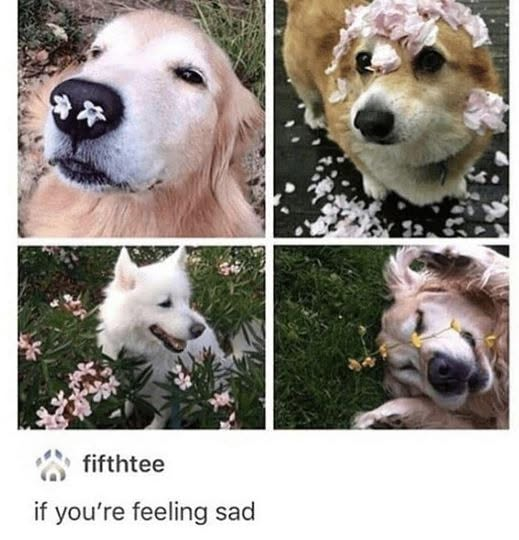 fifthtee if you're feeling sad