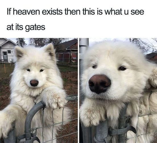 If heaven exists then this is what u see at its gates