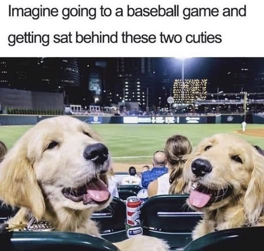 Imagine going to a baseball game and getting sat behind these two cuties