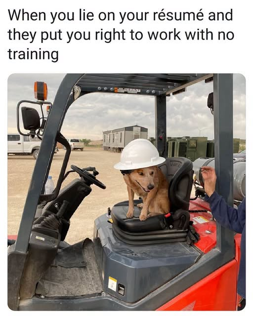 When you lie on your résumé and they put you right to work with no training WEL
