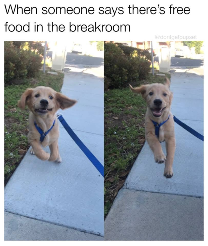 When someone says there's free food in the breakroom @dontgetpupset