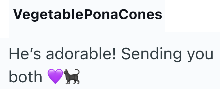 VegetablePonaCones He's adorable! Sending you both
