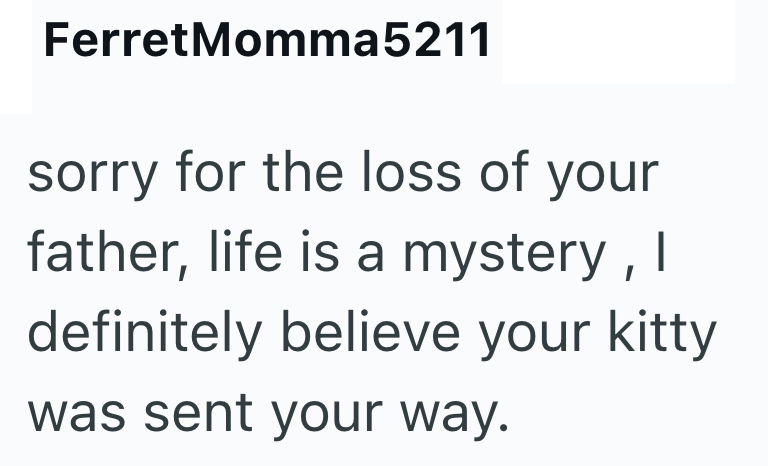 FerretMomma5211 sorry for the loss of your father, life is a mystery, I definitely believe your kitty was sent your way.