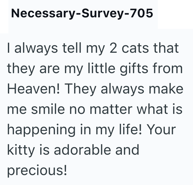 Necessary-Survey-705 I always tell my 2 cats that they are my little gifts from Heaven! They always make me smile no matter what is happening in my life! Your kitty is adorable and precious!