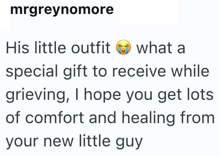 mrgreynomore His little outfit what a special gift to receive while grieving, I hope you get lots of comfort and healing from your new little guy