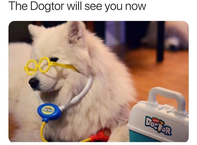 The Dogtor will see you now DOE FOR